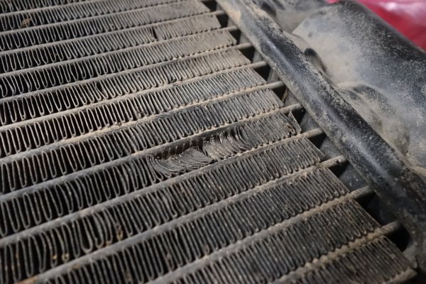bent fins